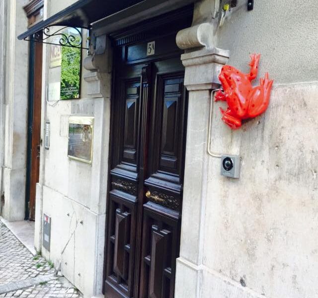 Red Frog